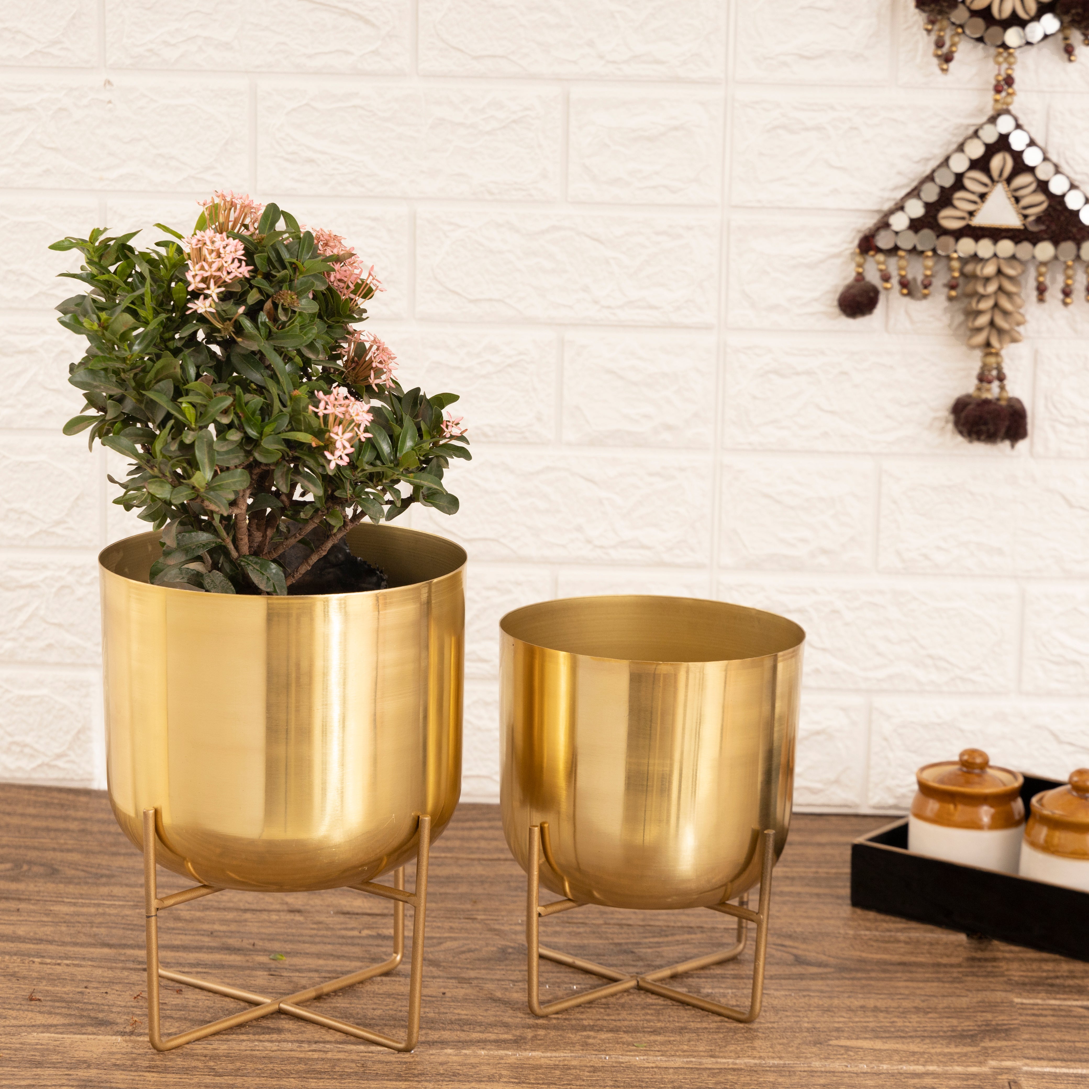 Olive Gold Planters (Pack of 2)